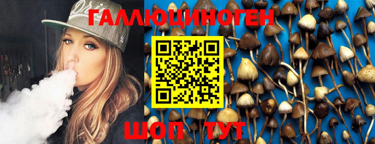 Псилоцибиновые грибы Psilocybe Уссурийск